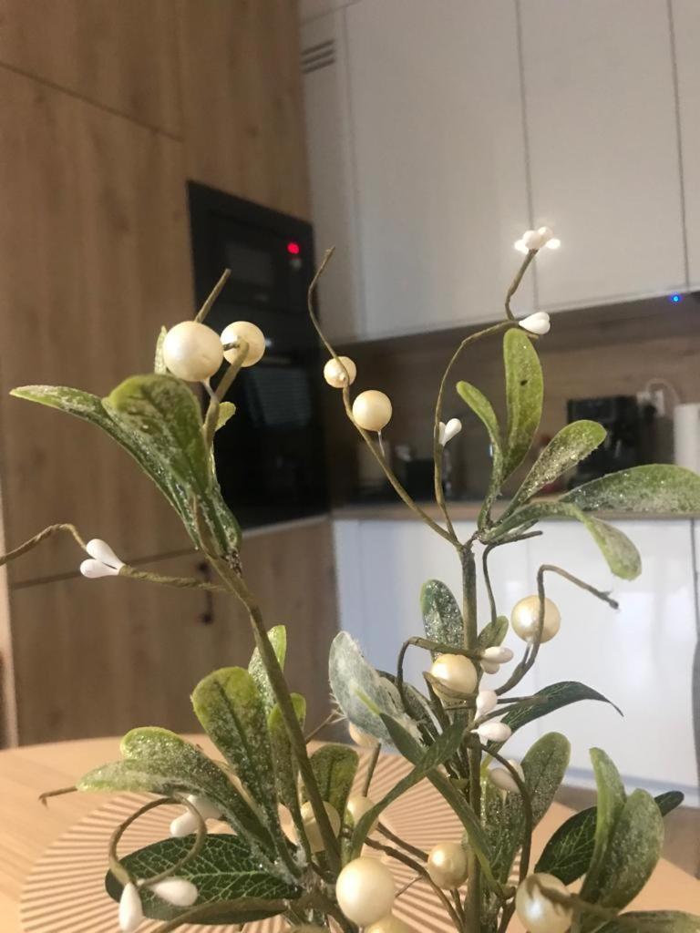 Apartament Kameralis Old Town - Klimatyzacja - Balkon - Winda Elblag Eksteriør bilde